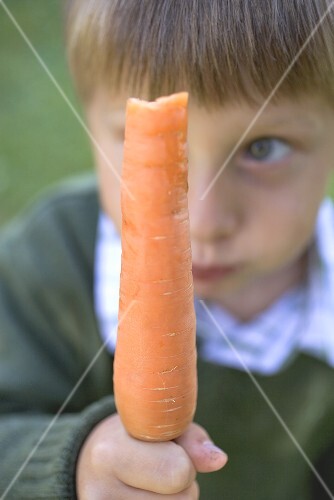 Boy holding a partly-eaten carrot
