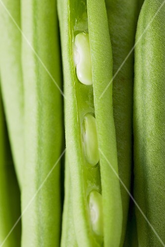 Several green beans (close-up)