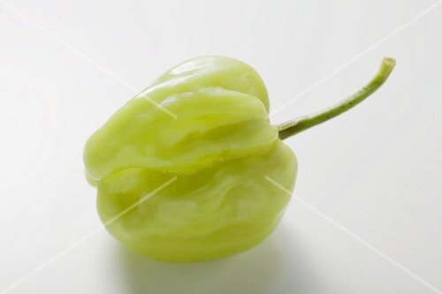 Green Habanero chilli