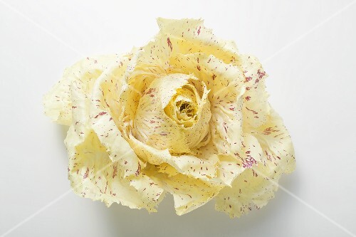 Radicchio (overhead view)