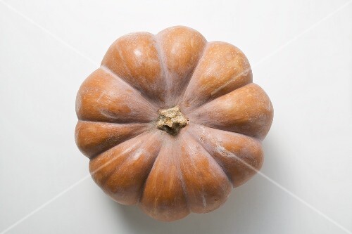Pumpkin (overhead view)