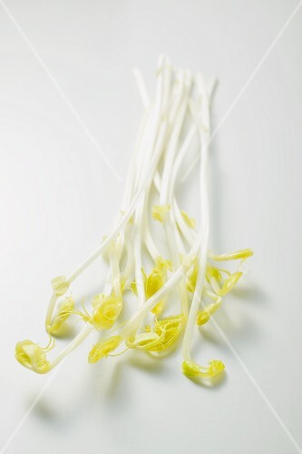 Fresh sprouts