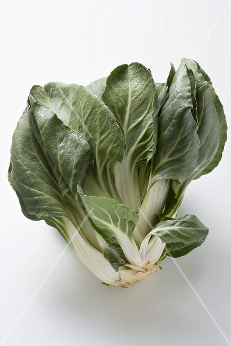 Frischer Paksoi