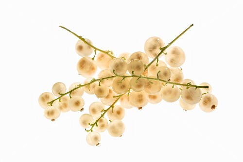 White currants