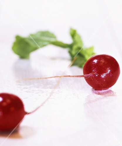 Two radishes