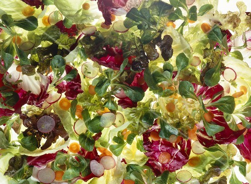 Mixed salad leaves, slices of radish and carrot