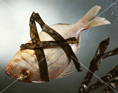 Sea bream with sea weed