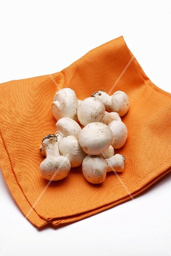 Fresh mnushrooms on a serviette