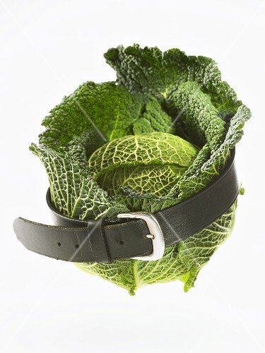 Savoy cabbage with a belt round it