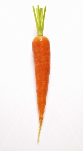 Mohrrübe