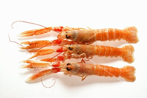 Scampi (2)