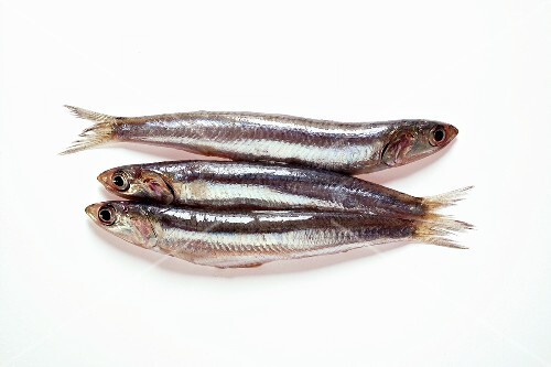 Fresh sardines