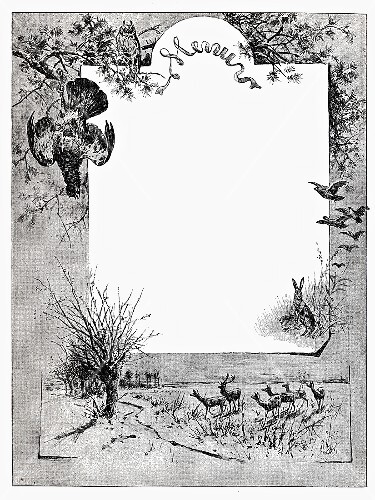 Festive menu: King Albert menu (illustration)