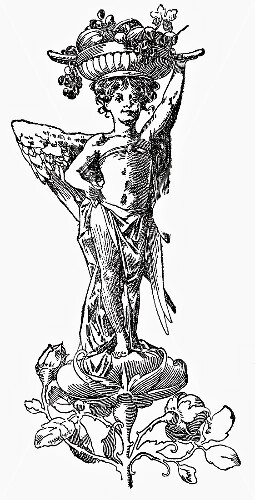 Angel with fruit bowl (illustration)