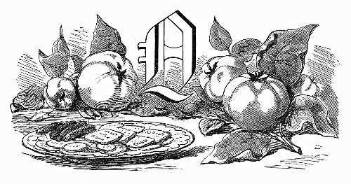 Still life with letter Q and quinces (illustration)