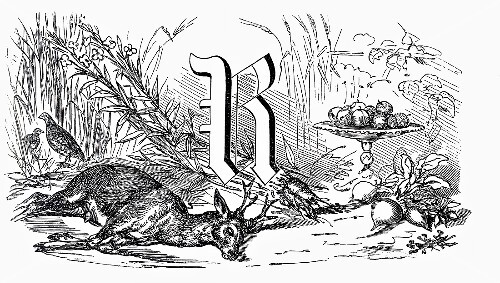 Still life with letter R, roe & root vegetables (illustration)