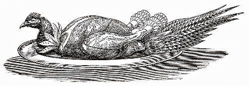 Pheasant on silver platter (illustration)