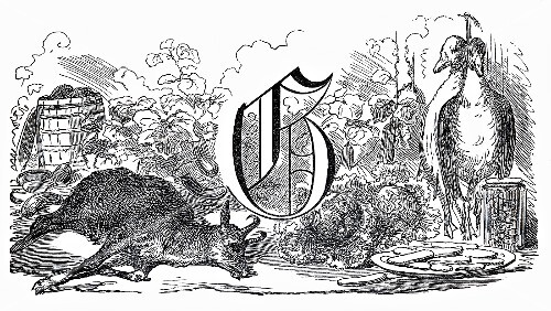 Still life: letter G, goat, geese, greens (illustration)
