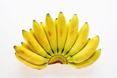 Bunch of sugar bananas (finger bananas)