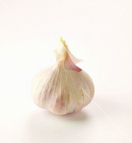 Garlic bulb