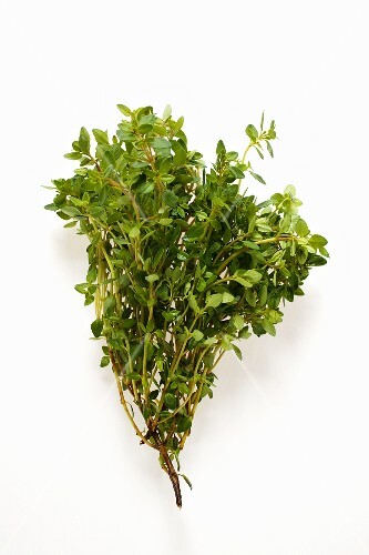 Frischer Thymian
