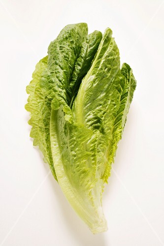 Romaine lettuce
