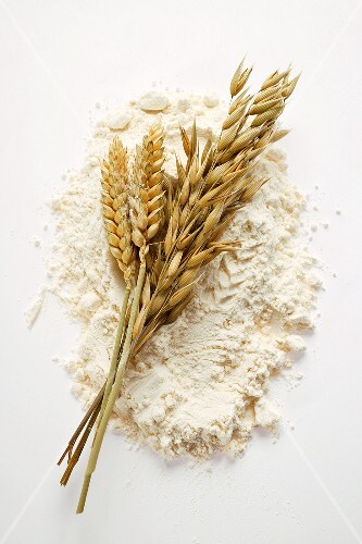 Ears of wheat and oats on flour