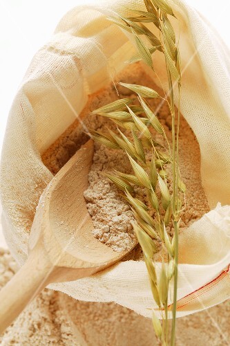 Wholemeal flour in sack with wooden scoop and cereal ears
