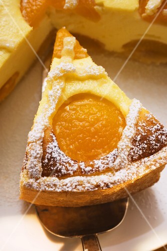 Piece of apricot cheesecake