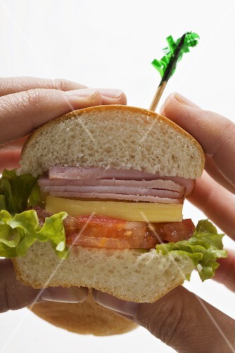 Hands holding ham and cheese sub sandwich