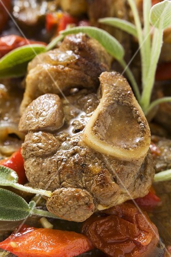Osso buco with tomatoes and sage (close-up)