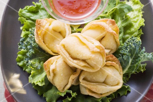 Frittierte Wan Tan mit süsssaurer Sauce (Close Up)