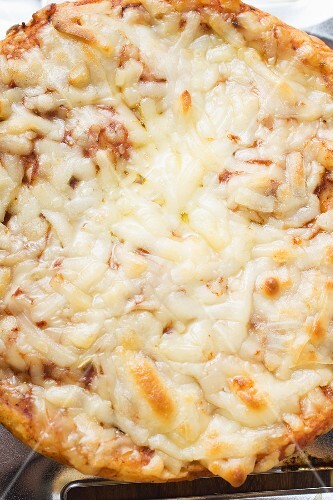Mini-pizza with tomato and cheese