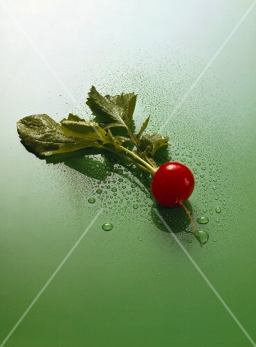 Radishes on green background; drops of water