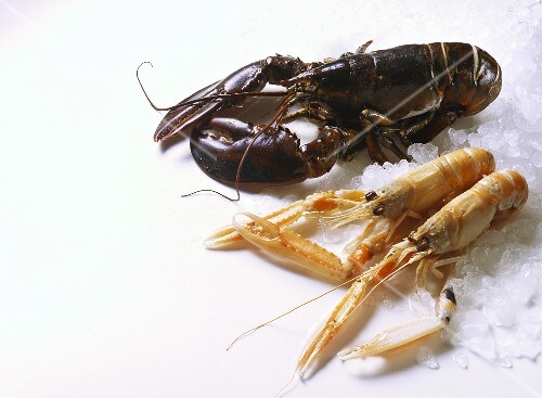 Fresh lobster & Norway lobster