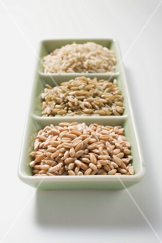 Spelt, unripe spelt and brown rice