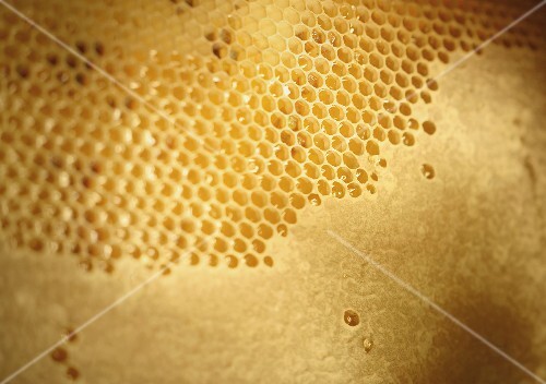 Honeycomb