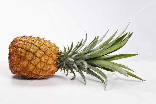 A pineapple, lying on its side