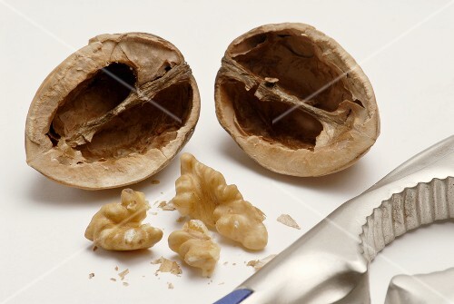 Opened walnut with nutcracker