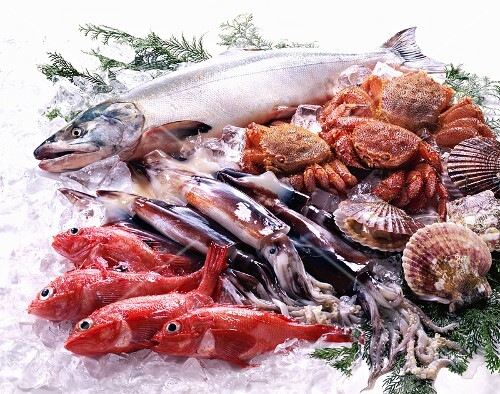 Fish and seafood on ice