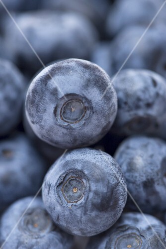 Heidelbeeren