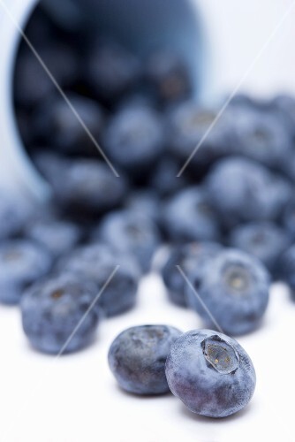 Heidelbeeren fallen aus umgekipptem Becher