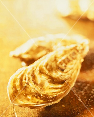 Two closed oysters