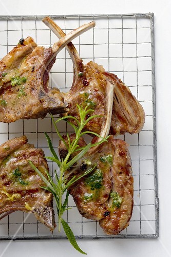 Grilled lamb cutlets with herb oil and rosemary