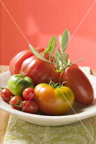 Assorted tomatoes with olive sprig on plate