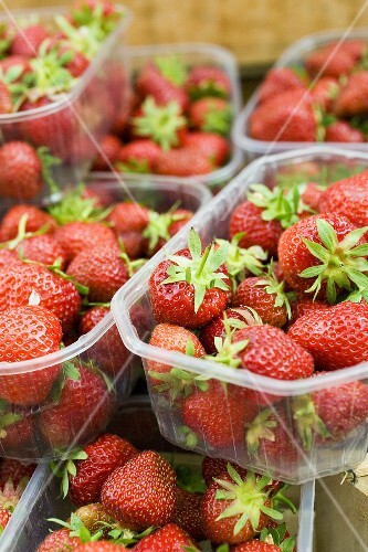 Frische Erdbeeren in Schalen auf dem Markt