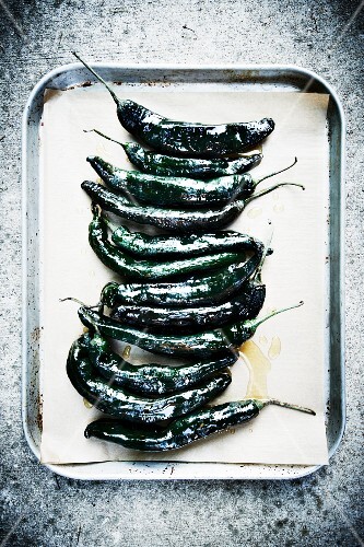 Pasilla Chili Pepper