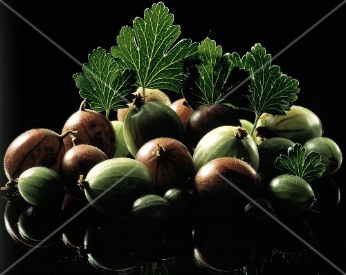 Red and Green Gooseberries