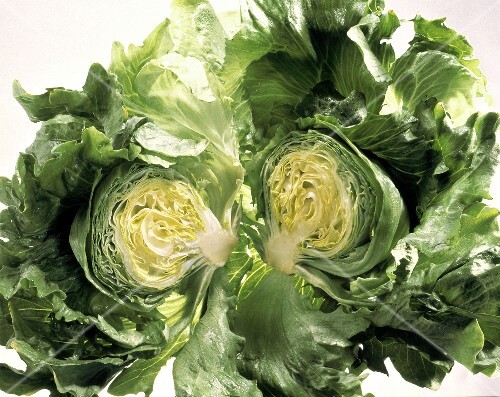 A Head of Iceberg Lettuce Cut in Half