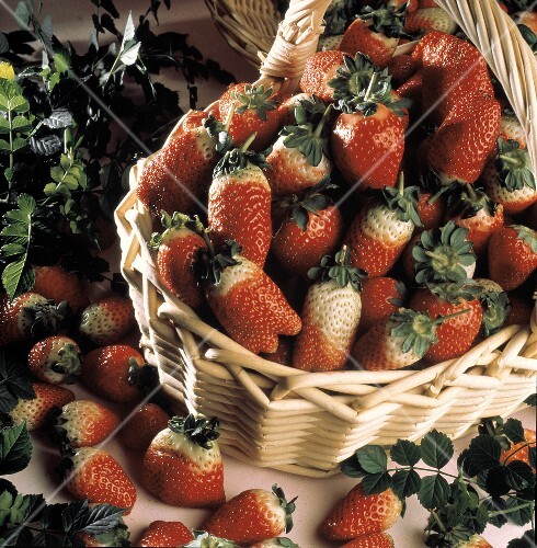 A Basket of Fresh Strawberries